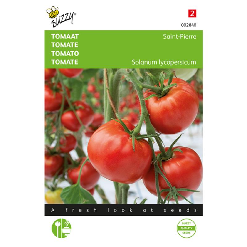 Buzzy® Tomato Saint Pierre