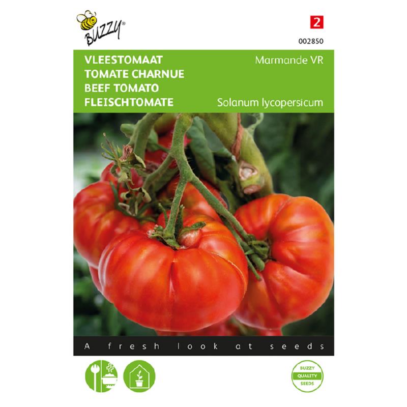 Buzzy® Beef Tomato Marmande VR