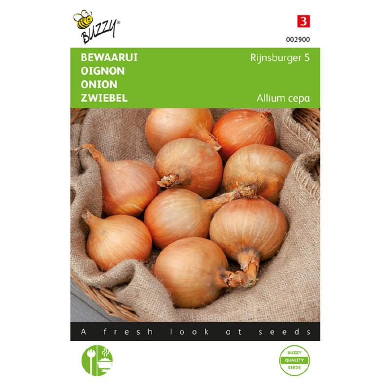 Buzzy® Onion Rijnsburger 5