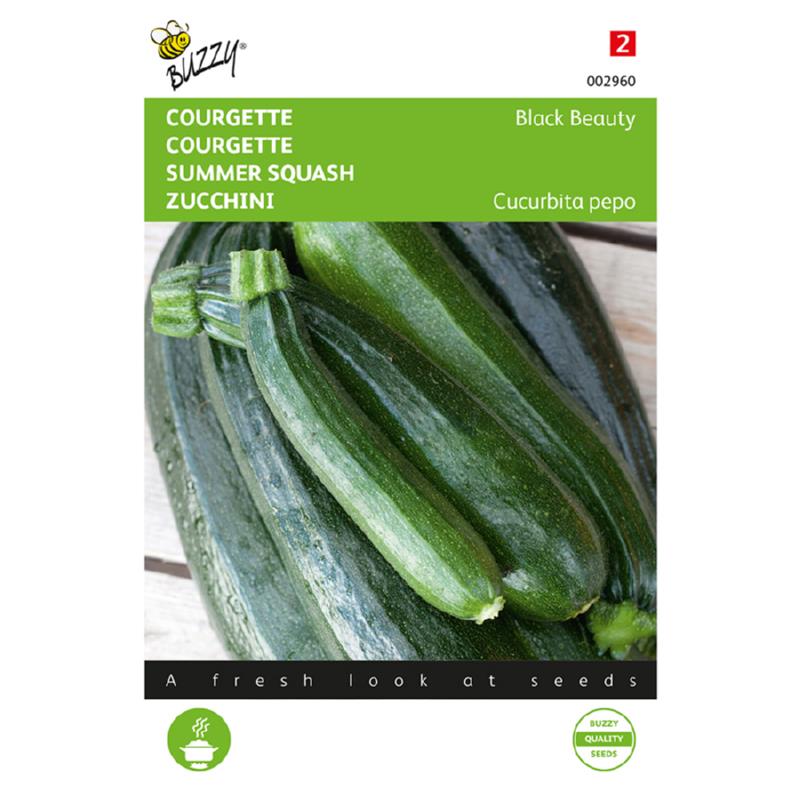 Buzzy® Summersquash Bl. Beauty Long Green