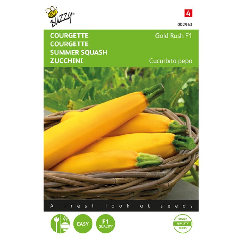 Buzzy® Summer squash Gold Rush F1