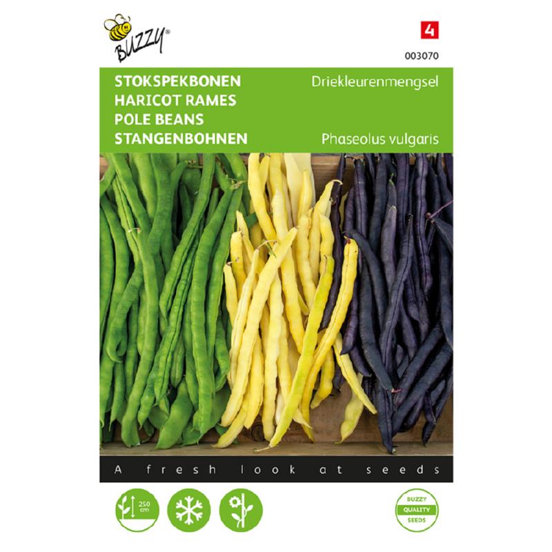 Buzzy® Pole Peans 3 colored Mix