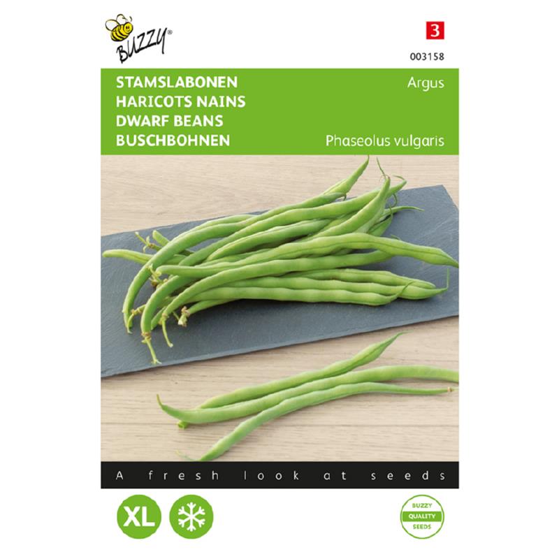 Buzzy® Stamslabonen Haricot Vert Argus