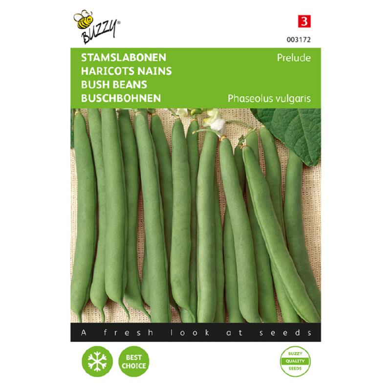 Buzzy® Dwarf French Beans Prelude