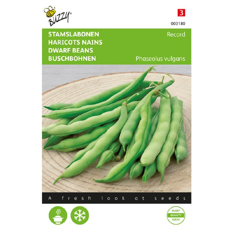 Buzzy® Stamslabonen Record