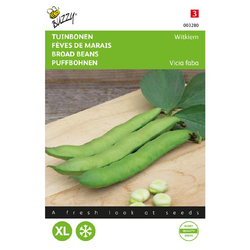 Buzzy® Broad Beans White