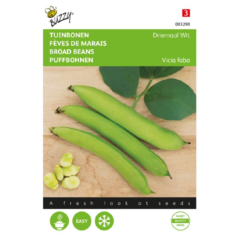 Buzzy® Broad beans Threefold White