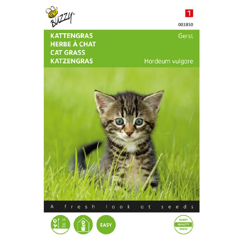 Buzzy® Kattengras Gerst