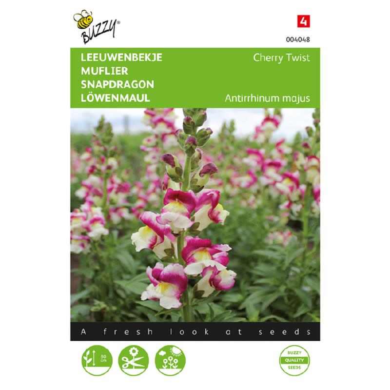 Buzzy® Antirrhinum, Leeuwenbekje Cherry Twist