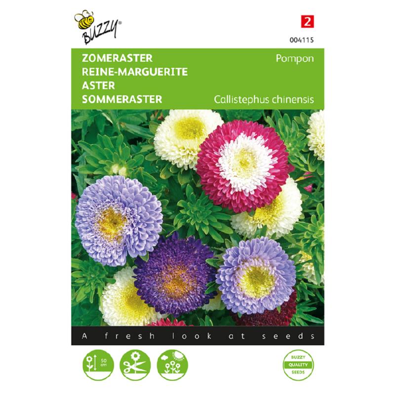 Buzzy® Callistephus, Zomeraster Pompon gemengd