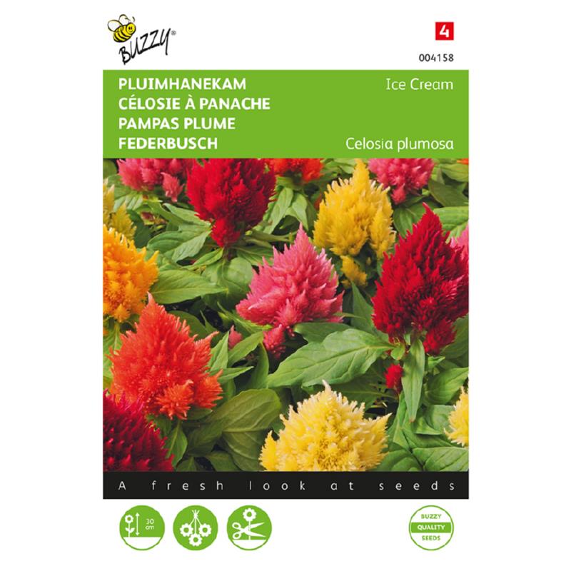 Buzzy® Cockscomb Ice Cream mixed