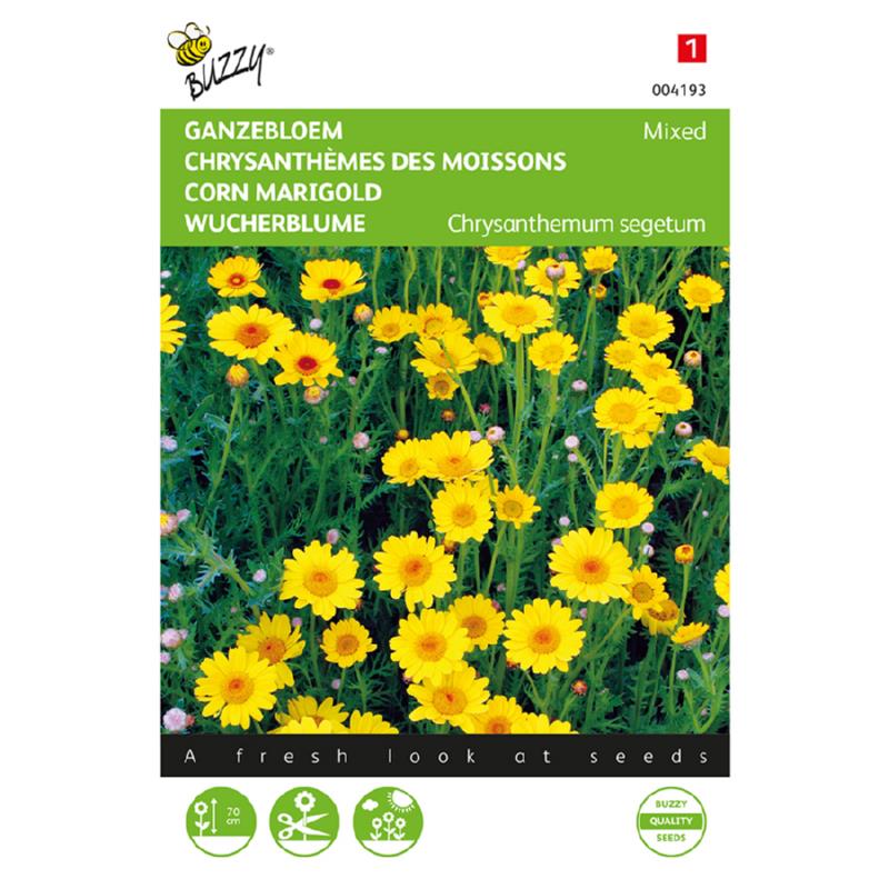 Buzzy® Corn Marigold Yellow shades, mixed