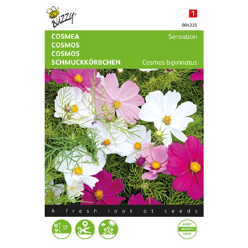 Buzzy® Cosmos Sensation, mixed