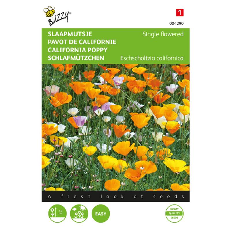 Buzzy® Californian poppy Single mixed