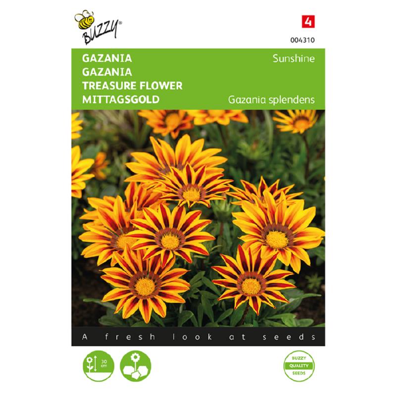 Buzzy® Gazania Sunshine gemengd
