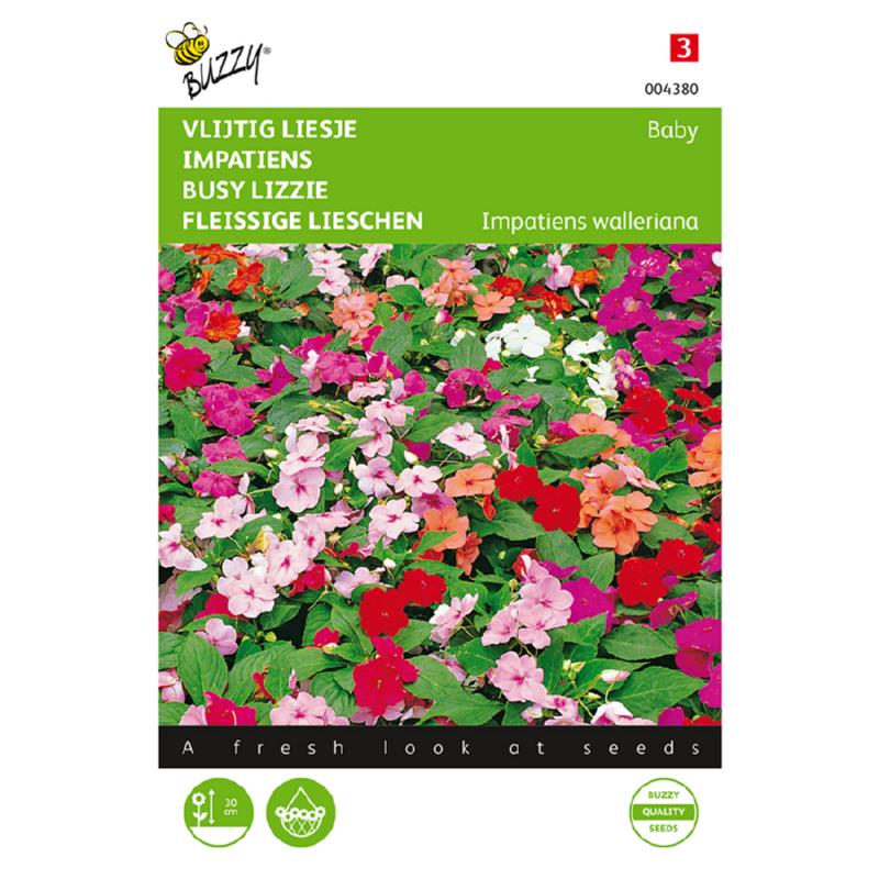 Buzzy® Impatiens, Busy Lizzie Baby, mixed