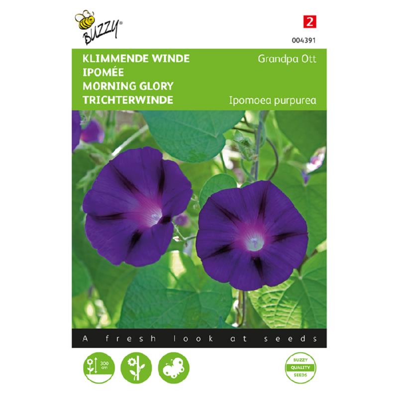 Buzzy® Ipomoea, Klimmende winde Grandpa Ott