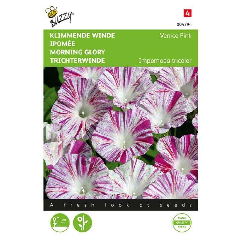 Buzzy® Ipomoea tricolor  Venice Pink