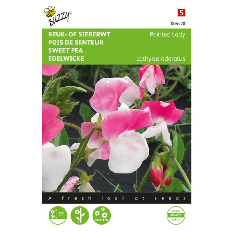 Buzzy® Lathyrus, Reuk- of siererwt Painted Lady