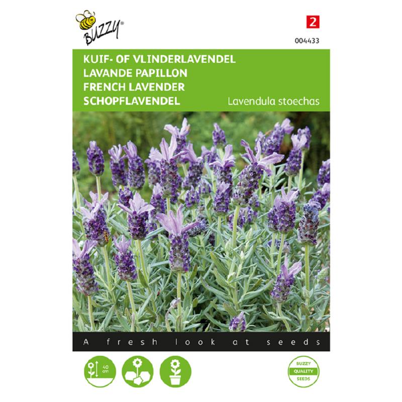 Buzzy® Lavande papillon