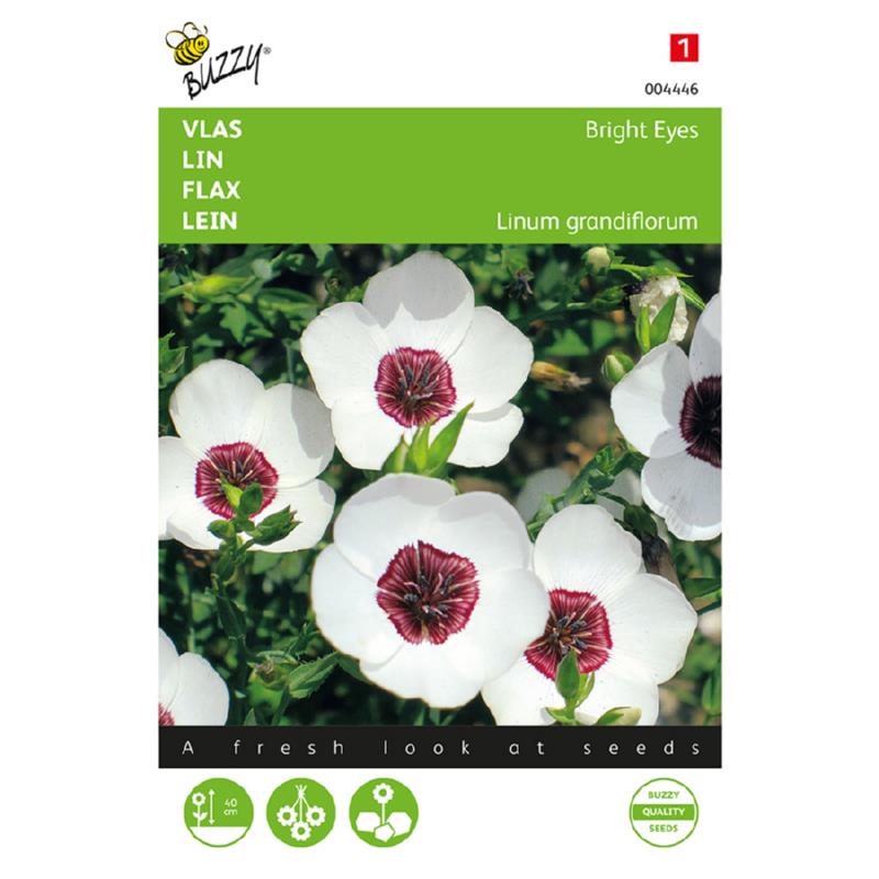 Buzzy® Linum, Vlas Bright Eyes