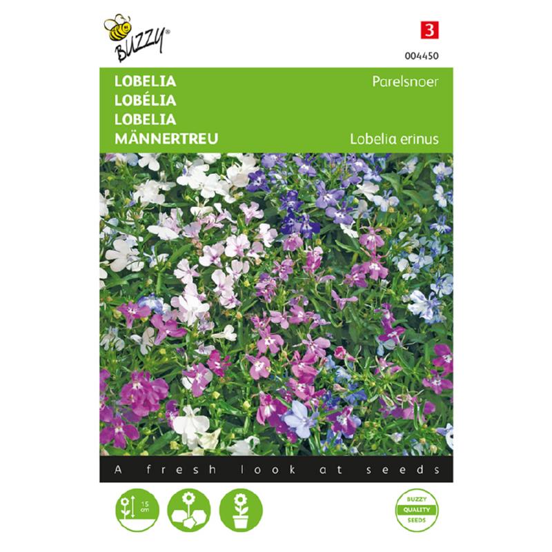Buzzy® Lobelia String of Pearls, mixed