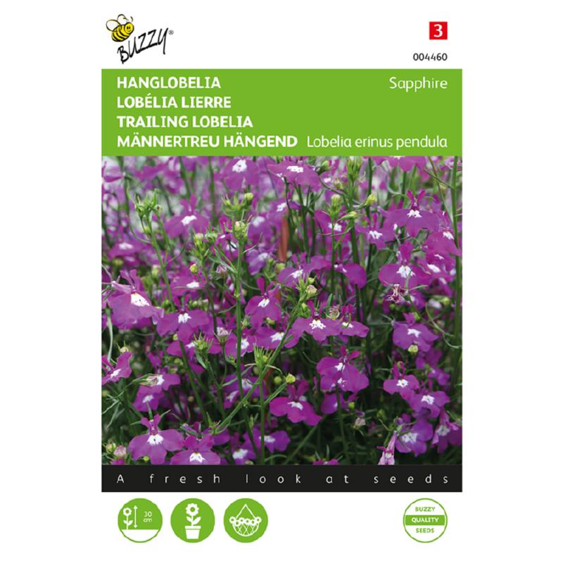Buzzy® Trailing Lobelia Sapphire