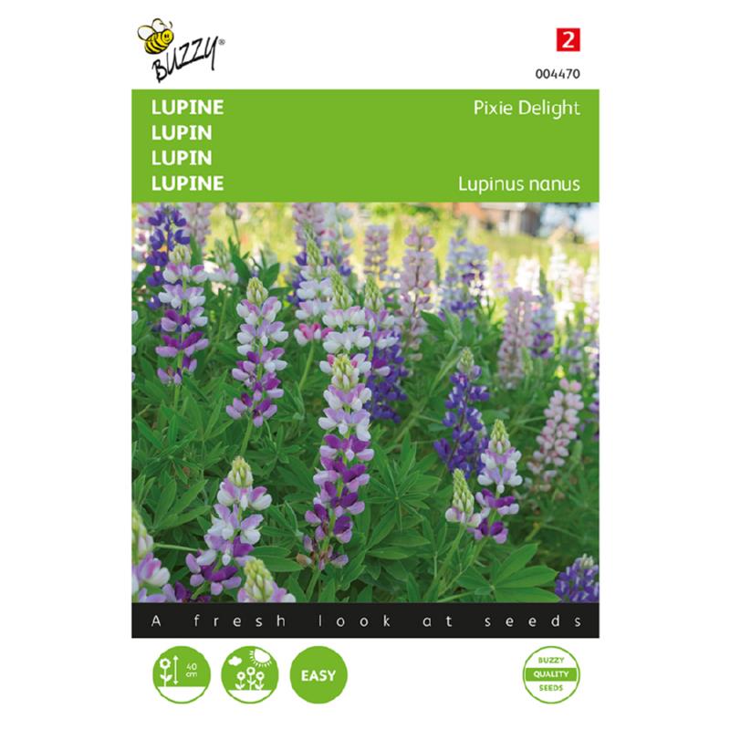 Buzzy® Lupinus, Lupine Pixie Delight gemengd