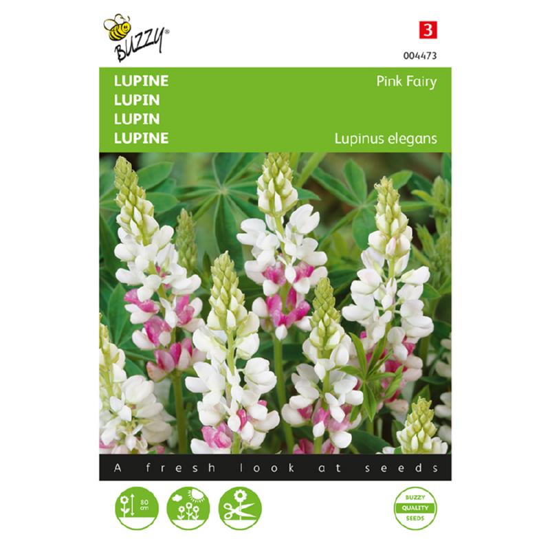 Buzzy® Lupinus, Lupine Pink Fairy