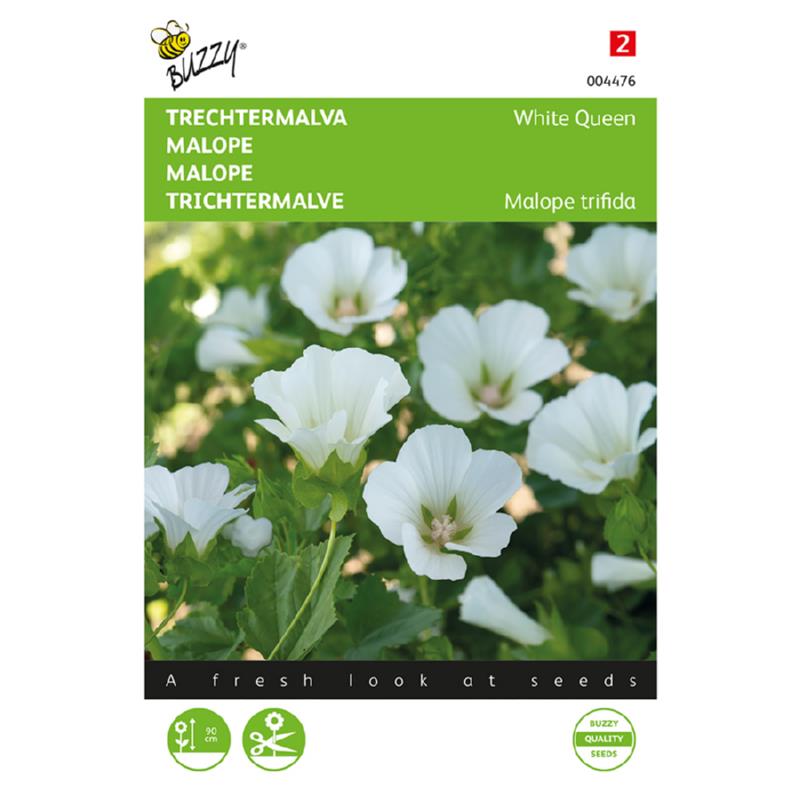 Buzzy® Malope White Queen