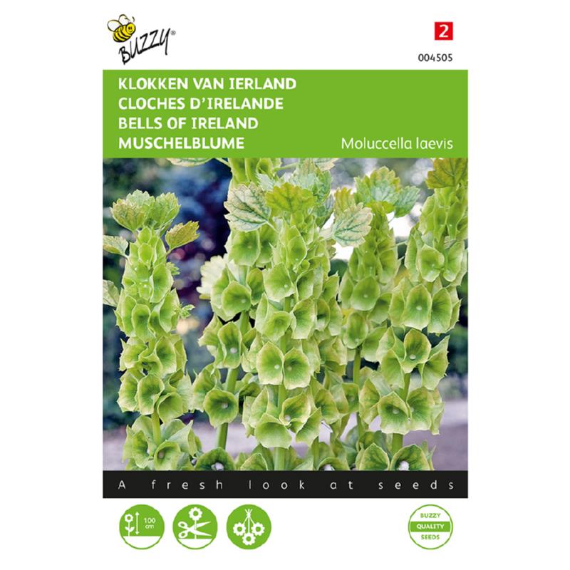 Buzzy® Molucella, Klokken van Ierland
