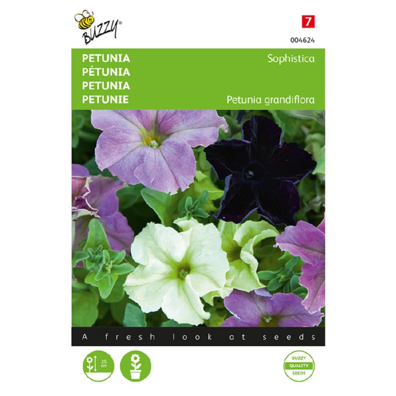 Buzzy® Petunia Sophistica mixed