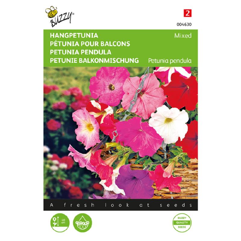 Buzzy® Petunia Pendula, mixed