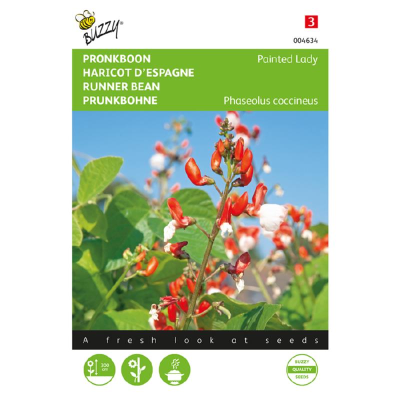 Buzzy® Phaseolus, Pronkboon Painted Lady