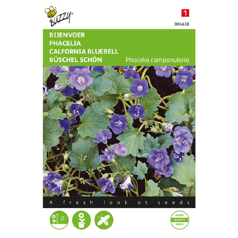 Buzzy® Phacelia, California Bluebell