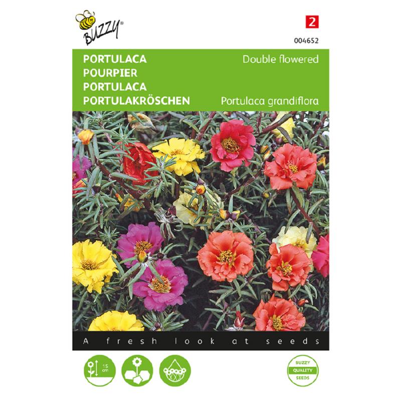 Buzzy® Portulaca dubbelbloemig gemengd