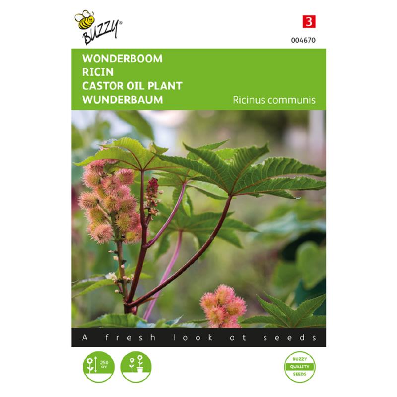 Buzzy® Castor oil plant Zanzibariensis