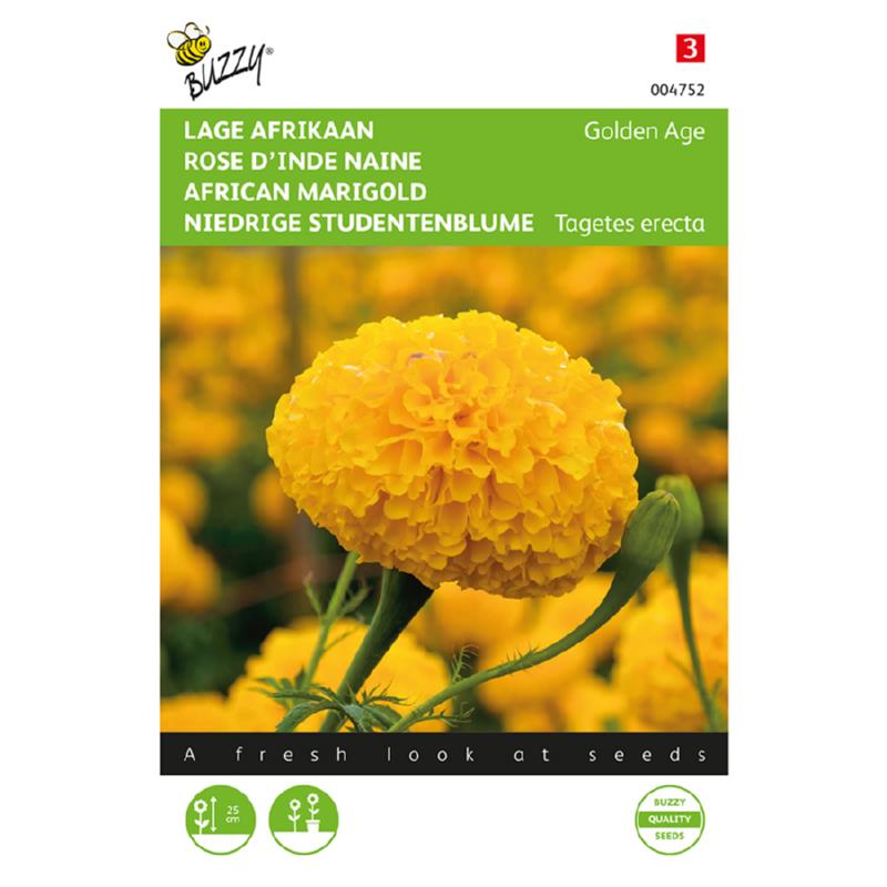 Buzzy® Tagetes, lage Afrikaan Golden Age