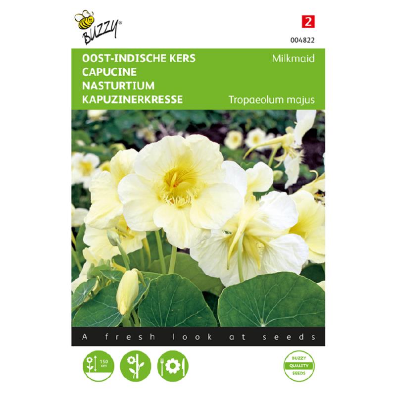 Buzzy® Tropaeolum, Oost-Indische kers Milkmaid