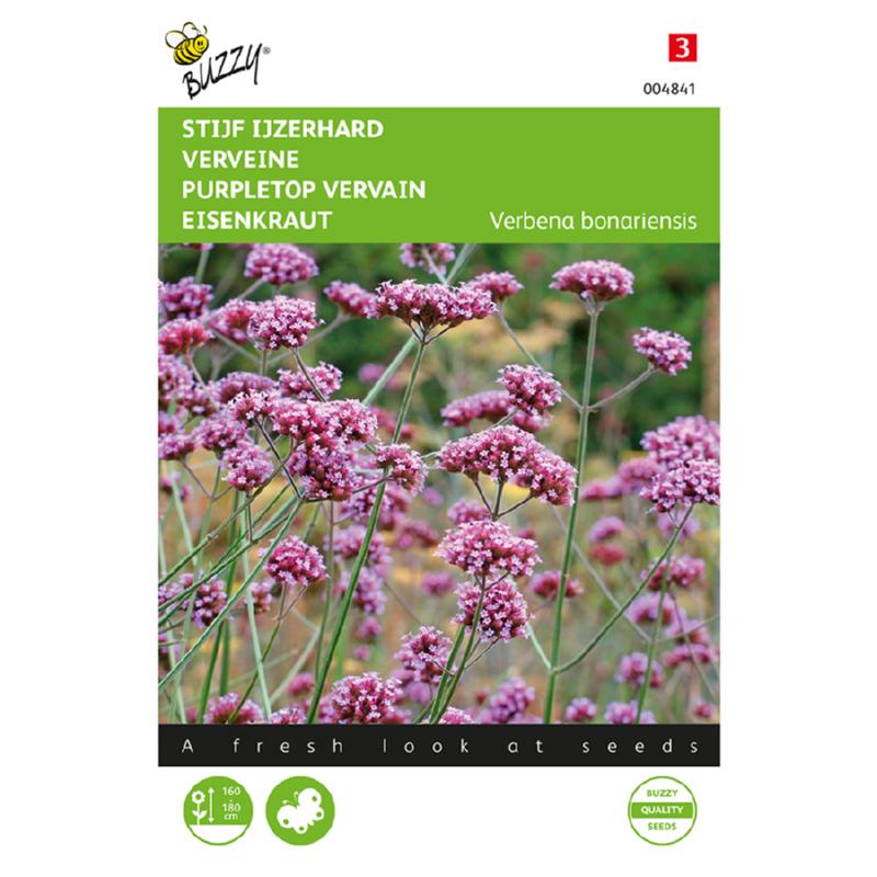 Buzzy® Verbena, Stijf Ijzerhard