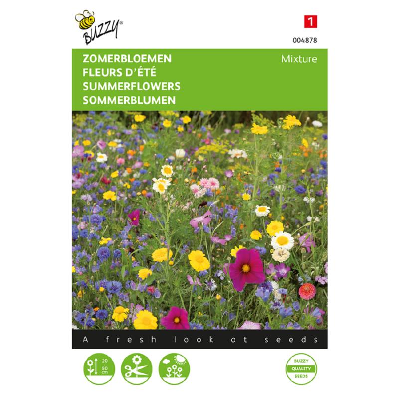 Buzzy® Summerflowers annual Mixed