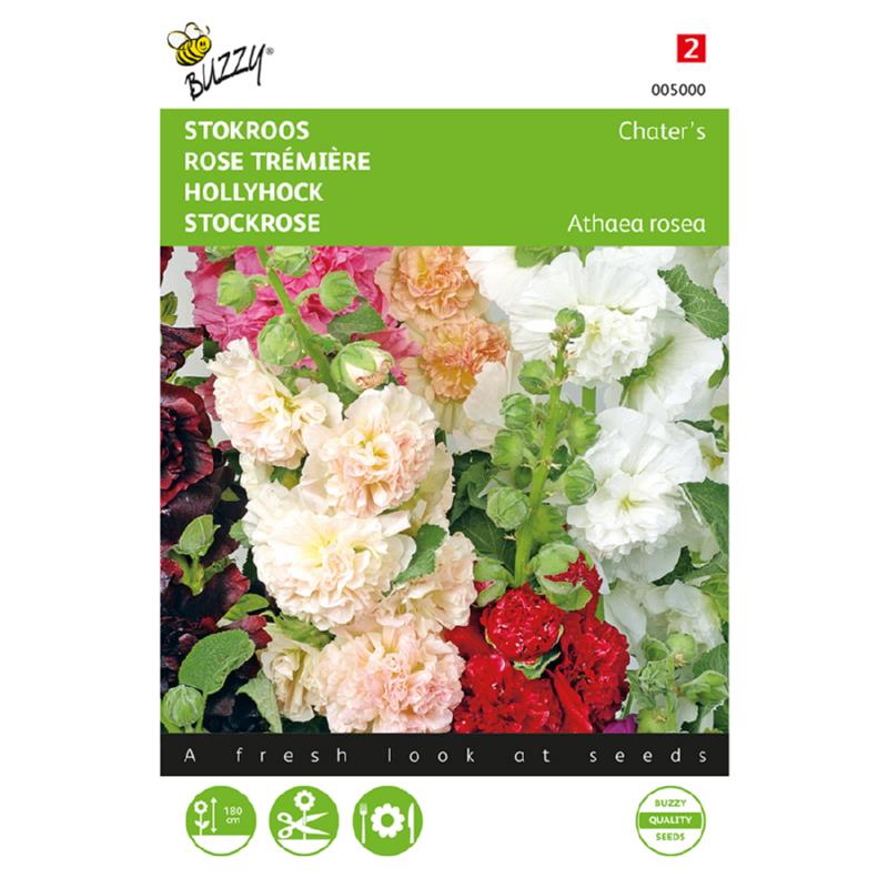 Buzzy® Hollyhock Chater’s double mixed