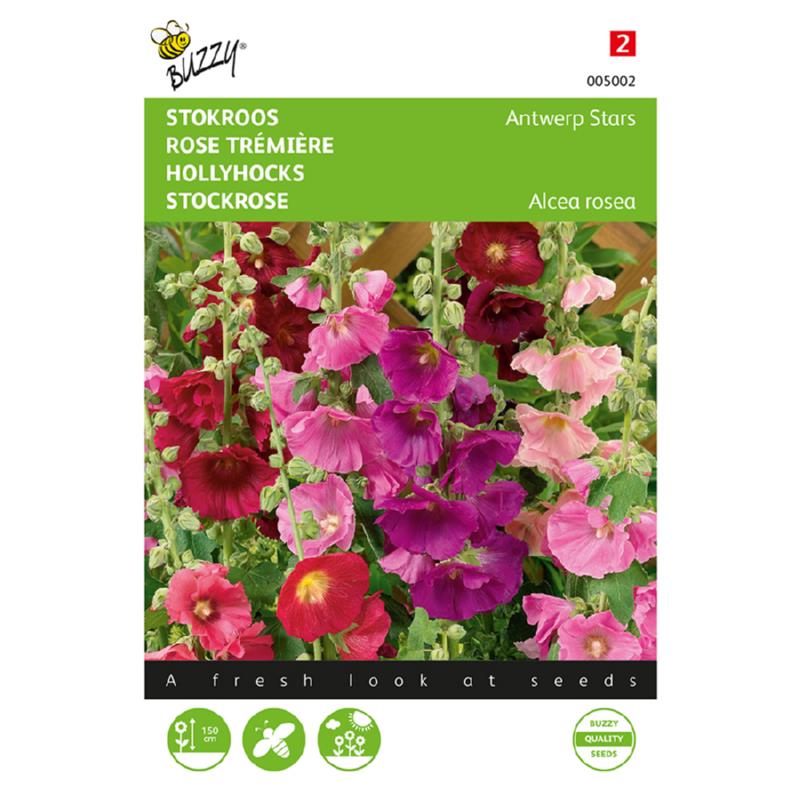 Buzzy® Althaea Antwerp Stars Mixed