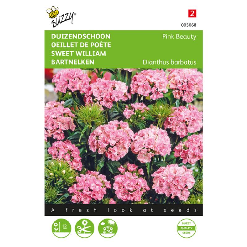 Buzzy® Sweet William Pink Beauty