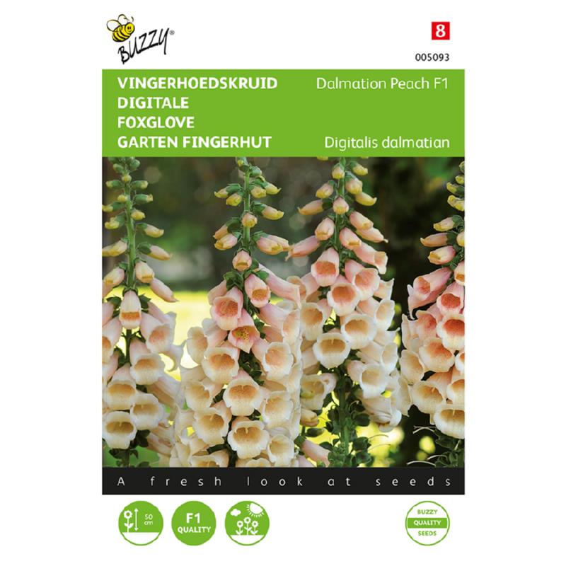 Buzzy® Digitalis, Vingerhoedskruid Dalmation F1 Peach
