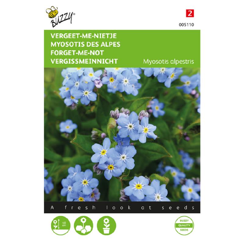 Buzzy® Myosotis, 'vergeet-me-nietje' blauw