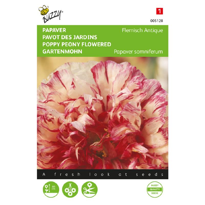 Buzzy® Papaver, Slaapbol Flemish Antique