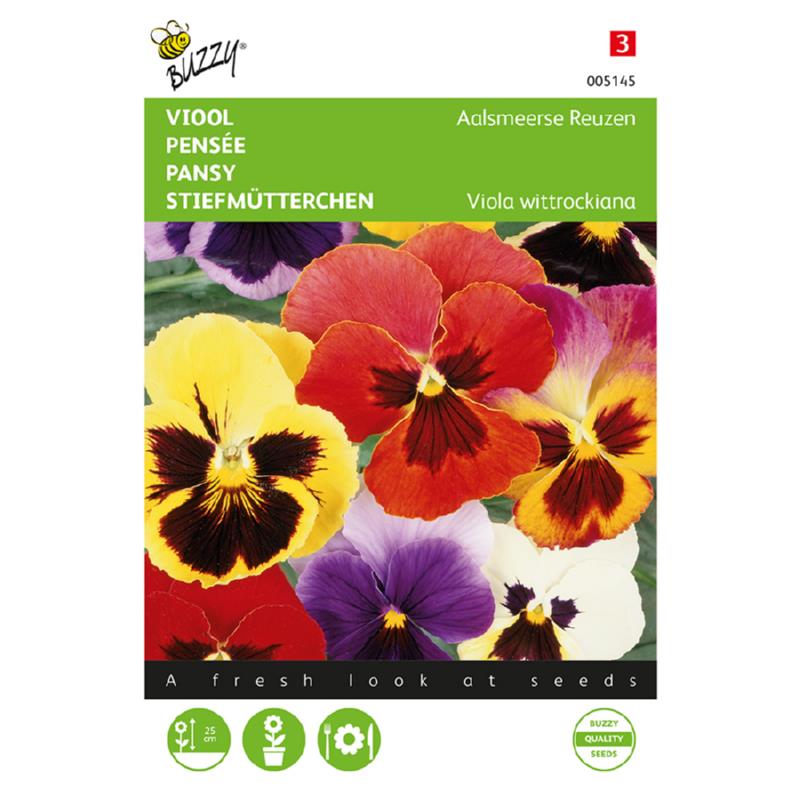 Buzzy® Pansy Aalsmeer Giants, mixed