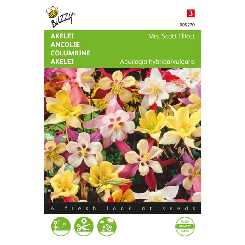 Buzzy® Aquilegia, Akelei Mrs. Scott Elliott