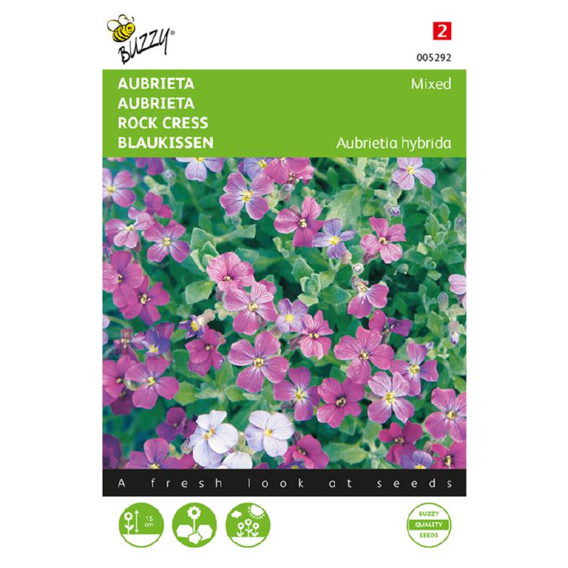 Buzzy® Aubrieta Grandiflora gemengd